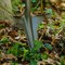 Radius Garden 44 in L Root Slayer Deep Weeder, Carbon Steel 23511 - alternate 4